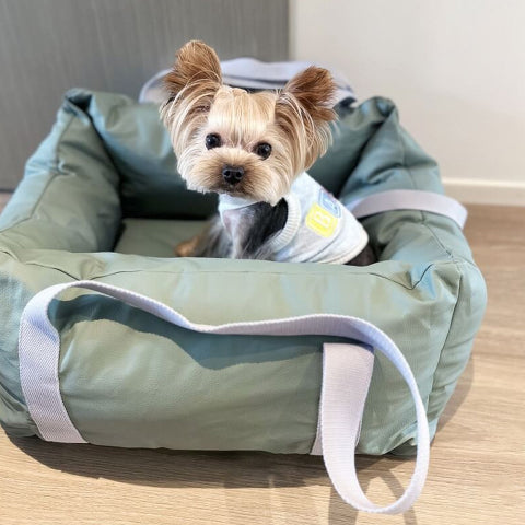 Hundekissen für das Auto – Schutz und Komfort unterwegs