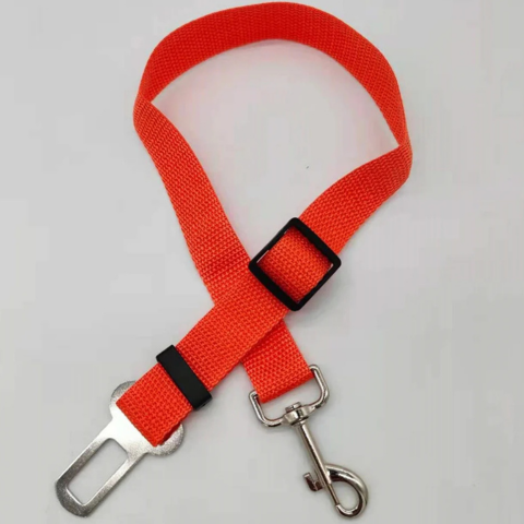 Cintura Di Sicurezza Per Cani – Viaggi In Tutta Serenità