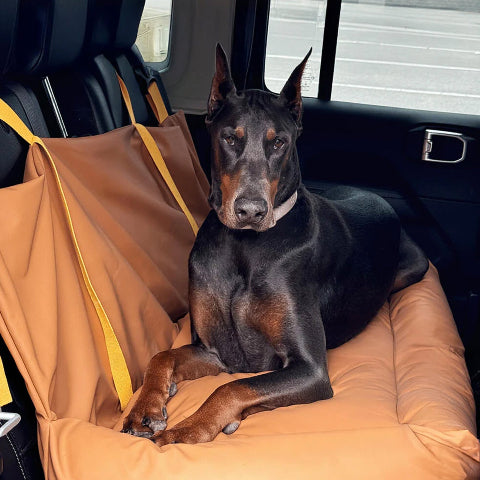 Hundekissen für das Auto – Schutz und Komfort unterwegs