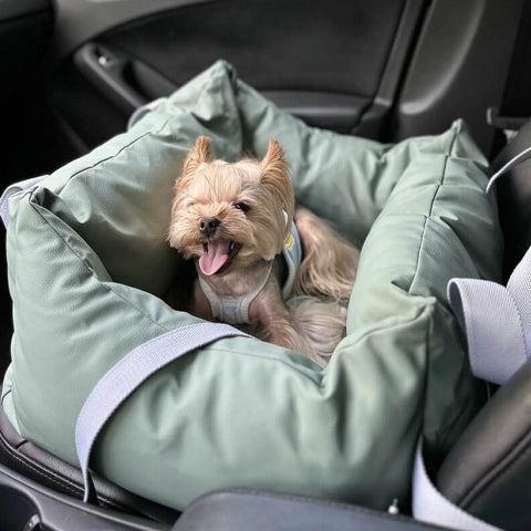 Hundekissen für das Auto – Schutz und Komfort unterwegs