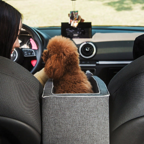 Transportbur För Hund – Komfort Och Stabilitet I Bilen