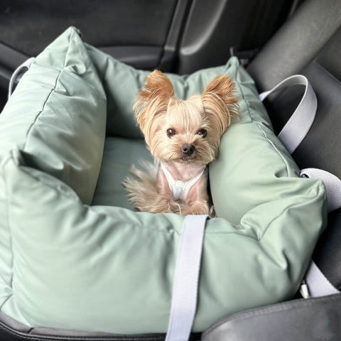 Hundekissen für das Auto – Schutz und Komfort unterwegs
