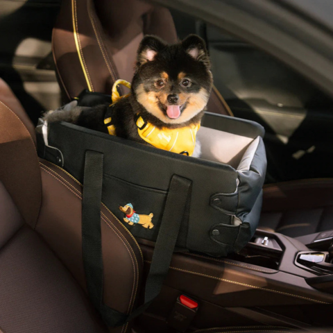 Auto-Warenkorb für kleine Hunde — Sicherheit und Komfort im Auto