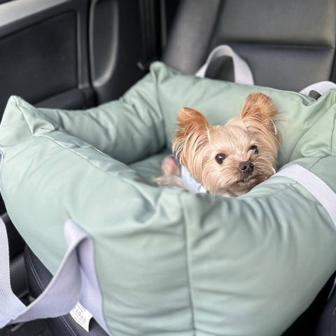 Hundekissen für das Auto – Schutz und Komfort unterwegs