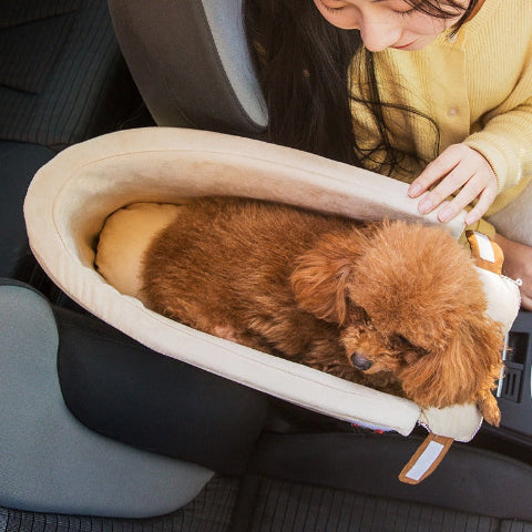 Transportbur För Hund – Komfort Och Stabilitet I Bilen