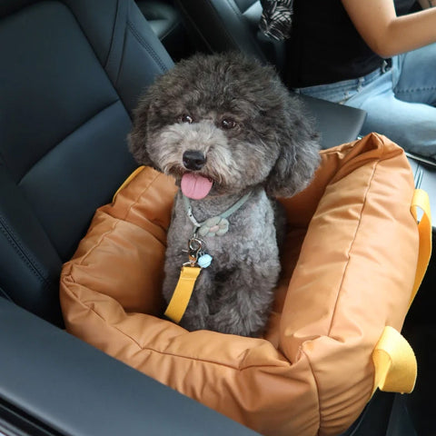 Hundekissen für das Auto – Schutz und Komfort unterwegs 