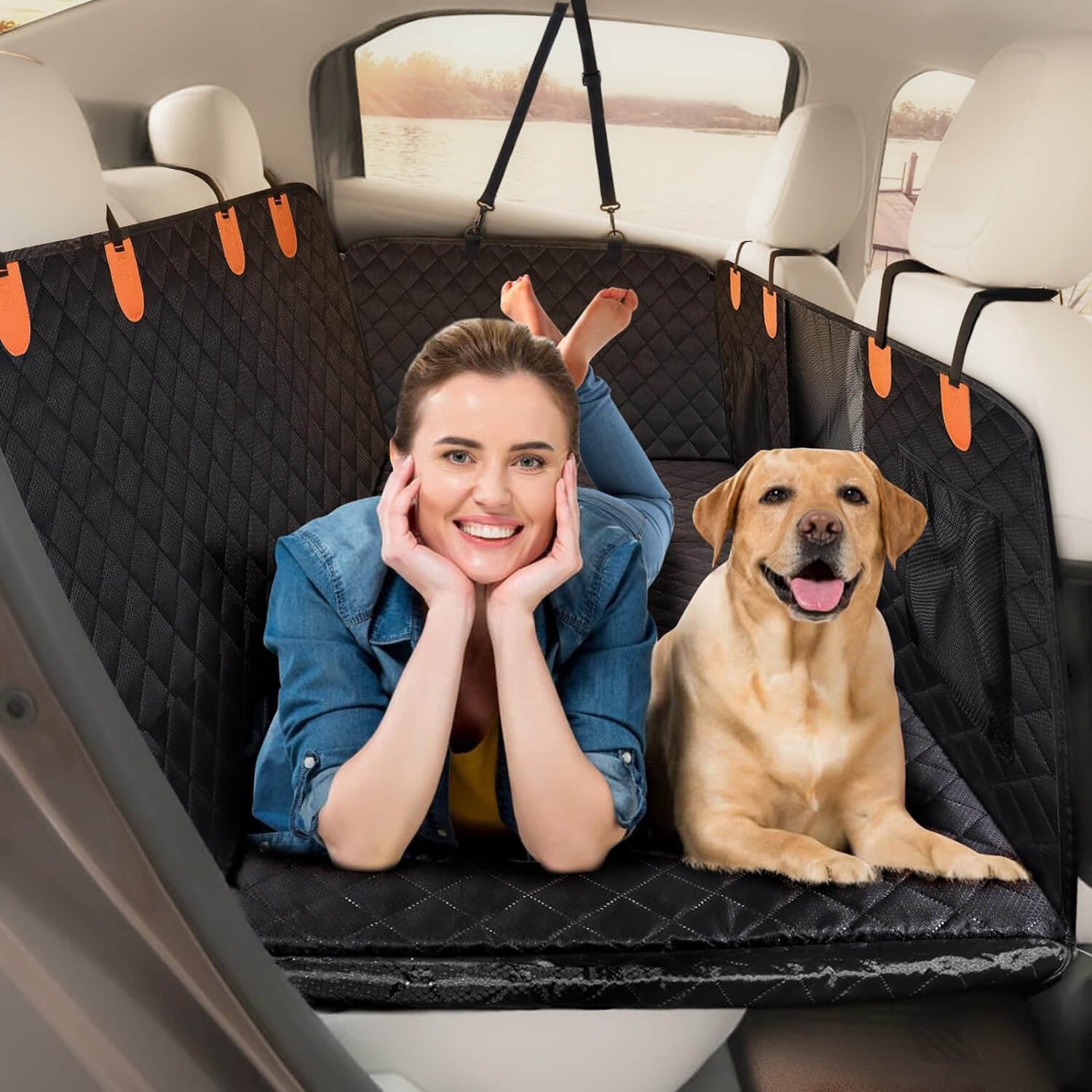 Animals & Travel 