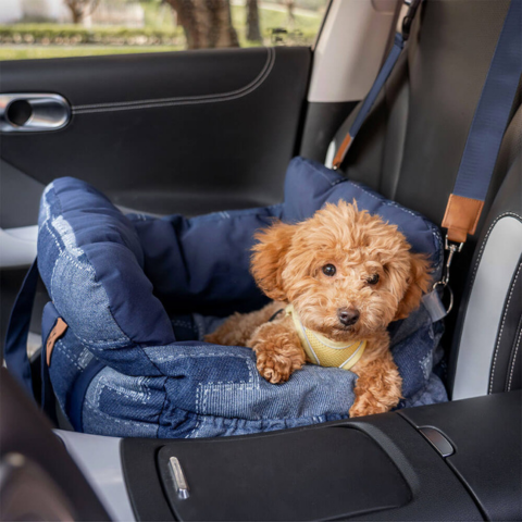 Portable Dog Basket — Comfort At Home And In The Car 