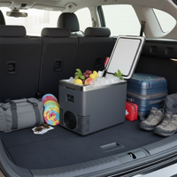 Mini Refrigerador y Calentador de Comida para Coche — 2 en 1 Práctico 