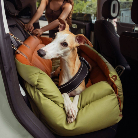 Dog Car Cushion – Support and Comfort on the Road 