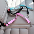 Animal Seat Belt – Safe and Peaceful Travels 